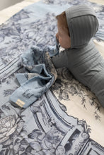 Load image into Gallery viewer, The Garden Window Lovey