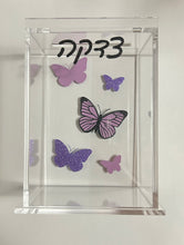 Load image into Gallery viewer, Lucite Tzedakah Box